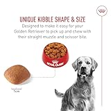 ROYAL CANIN Breed Health Nutrition Golden Retriever Adult Dry Dog Food, 17-Pound by Royal Canin
