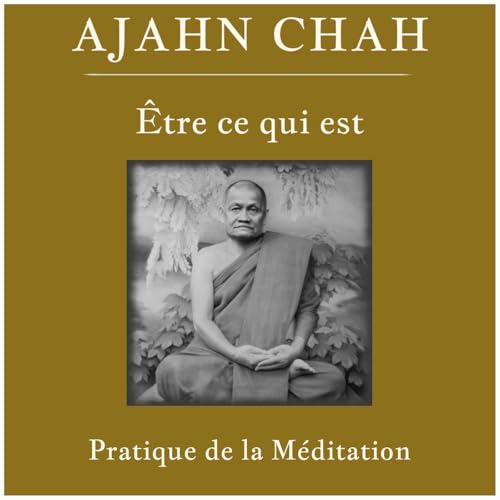 Page de couverture de La pratique de la méditation