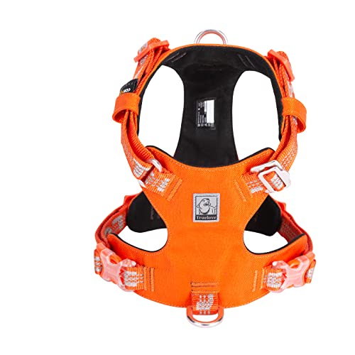 Truelove - Arnés de tela resistente a explosiones para perros de alta densidad de nailon ligero para exteriores, producto adecuado para perros pequeños y medianos grandes TLH6282 (naranja, L)