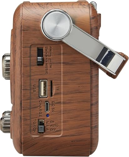 Gelielim ポータブルラジオ(5)