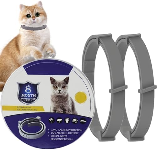 Photo inspiration: 2 Pack Collar For Cats Cat Collar Cat Collar To Photo Inspiration