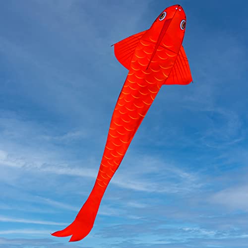 Hengda Kite Red Carp Kite,For Kids And Adults,Easy To Fly,Excellent Fabric And Structure Design,Suitable For Square, Beach, Grass, Park,Excellent Gift,(118X39) In. #TOP5