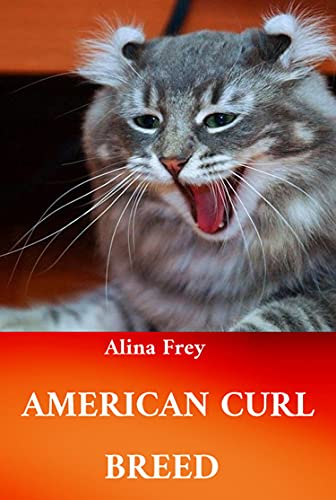 American Curl Breed (German Edition)