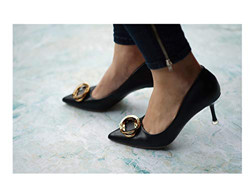 Image of C.Paravano Women's Pumps | Women Heels Closed Toe | Pumps Shoes Women | Chic Pointed Toe Design | Comfort Heels