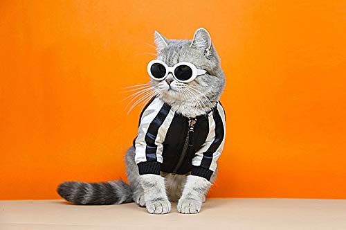Retro Oval Small Dogs Cats Eye Wear Party Favors Pet Sunglasses Set Cute Funny Cosplay Dolls Costume Photo Props - Image 6