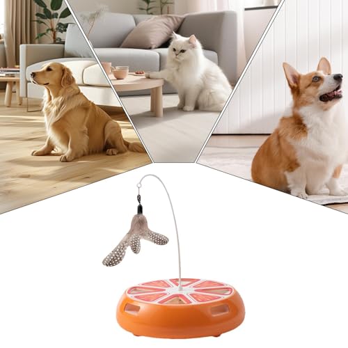 Jouet intelligent chat : plateforme rotative et jeu interactif électrique