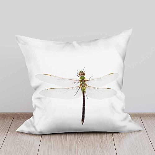Beabes Pillow Covers Nature Dragonfly Insect Green Body 2 Sets,Decorative Throw Pillow Covers 18X18 Inch Soft Cushion Covers For Home Couch Living #TOP2