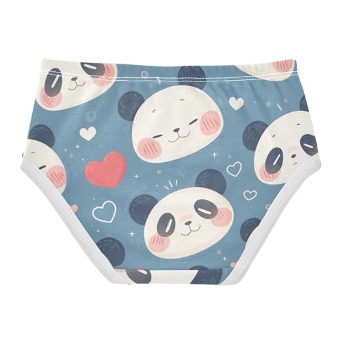 GuoChe Brief Panties Panties Training Organic Cotton Toddler Underwear for Kids in Sizes 2T,3T, 4T, 5T, 6Y and 8Y2