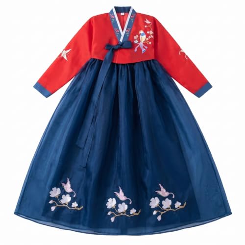 Robe Hanbok coréenne femmes costume traditionnel jupe broderie oiseaux