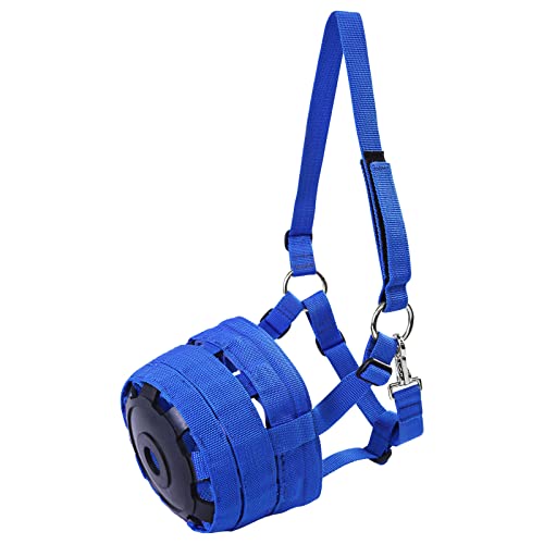 Best Grazing Muzzle For Miniature Horse The Ultimate Guide