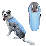 Chaleco refrescante para perros