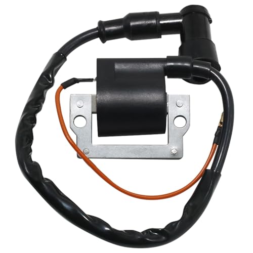 PLFCLKHET(���X) �ɓK������ FS1 LB50 LB80 GT80G DT80 DT100 DT125 DT175 DT250 DT400 IT125 IT175 �p �o�C�N�n���G���W���C�O�j�b�V�����R�C��