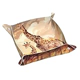 Práctico diseño de hebilla de cuatro pliegues: el diseño de hebilla de cuatro esquinas te permite sujetar y almacenar fácilmente esta bandeja, por lo que es ideal para mesitas de noche, armarios de entrada, escritorios, tocadores, encimeras, estanterías y baños. Mantén tus artículos esenciales a mano y fácilmente accesibles.