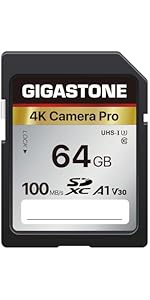 Amazon.com: [5-Yrs Free Data Recovery] GIGASTONE 256GB SD