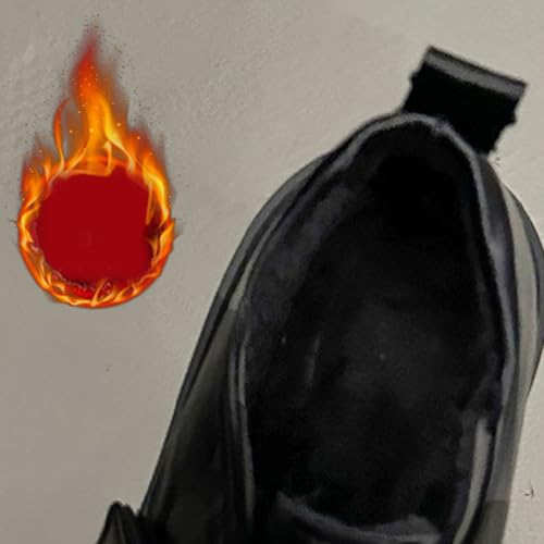 [LECMT] q[t@[ h RۖhL Xb| NbVC\[ ʋΒʊw VvfUC wC JWAV[Y pvX EhgD 22.5cm ʋ ʊw _[NuEiNсj d rWlX RXv w w 