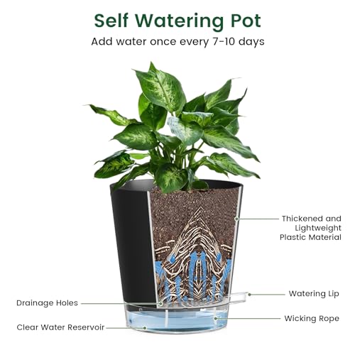 Meowell 4 inch Self Watering Pots for Indoor Plants, 5 Pack Small Flower Plant Pots with Drainage Holes and Clear Reservoirs, Visible Water Level, Plastic Planters with Wicking Rope, Black by Meowell - Image 4
