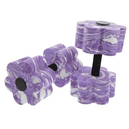 EXAOMBLE 2 v[tBbglX_x yʑϋv ~߉H  GNTp j^