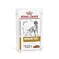 ROYAL CANIN Urinary S/O Veterinary Health Nutrition Dog Food 48 x 100g Wet Slices
