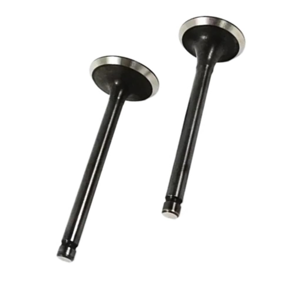 Valves de générateur EX21 EX17 soupape admission échappement