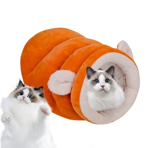 Lpq[^[xbh - hLpq[^[xbhAybgxbh߂ | Lpq[^[~̔L̃xbh̓A |ybg̐e Dƌ G  z[ rO[ Q 񕜊 