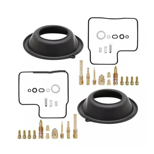 Kit réparation carburateur à membrane VT500 pour remise en route après hivernage