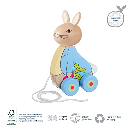 Image of Orange Tree Toys Peter Rabbit Pull Along