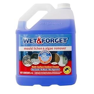 2L, 4L, 5L Wet & Forget Mould, Algae & Lichen Remover | Makes Up to 30L Solution | Outdoor Surface Cleaner (4 Litres)