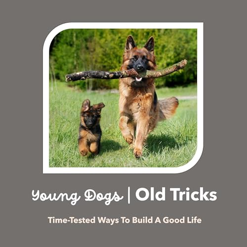 Young Dogs, Old Tricks cover art