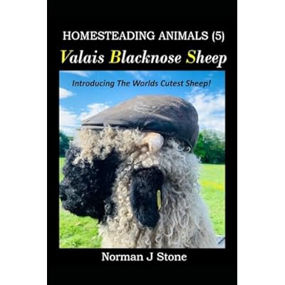 Homesteading Animals (5) Valais Blacknose Sheep: An Introduction To The Worlds Cutest Sheep!