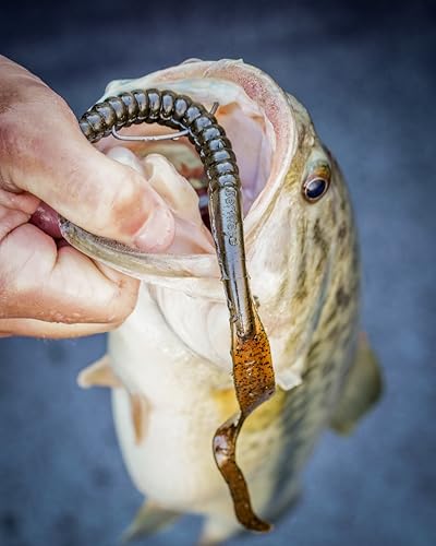 Image of PowerBait Natural Glitter Trout Bait