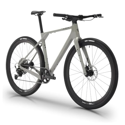SAVADECK Carbon Gravel Bike - T800 Carbon Frame & Fork | Shimano U6000 11-Speed Groupset | Hydraulic Disc Brakes | 700CX40mm All-Terrain Tires | Men & Women Road/Off-Road Bicycle (Gray, 53cm)