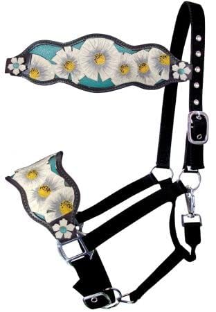 Showman Bronc Halter w/White Poppy Flower & Teal Leather Noseband