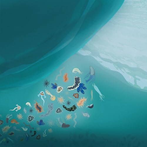 ¿Qué pasa en los arrecifes tropicales cuando se enfría el océano?