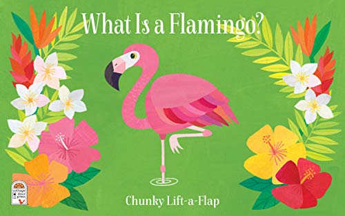 What Is a Flamingo?