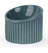 WoofinPets Ceramic Raised Cat Bowl - Tilted Elevated Cat Food or Water Bowl for Cats and Dogs, St...