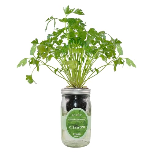 Environet Hydroponic Herb Growing Kit, Self-Watering Mason Jar Window Herb
