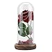 Rosa del Piccolo Principe, Fiore Rosa eterno conservato con Stringa LED in Cupola di Vetro.Buon Regalo per Fidanzata, San Valentino, Mothers'Day (Rosso)(Rosso)