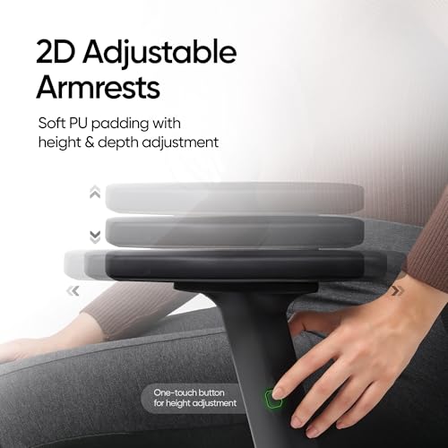 Image of Frido Glide Ergonomic Office Chair with Height Adjustable Lumbar Support | Breathable Mesh Back | 2D Adjustable Armrests | Home & Work Desk Chair for Long Sitting Hours | 100 kg Capacity | Grey |