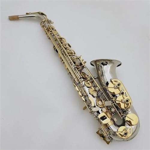 TbNXy Alto Eb Tune TN\tH ^J jbP Vo[bL S[h bJ[ L[ y E-flat Sax With Case(B)