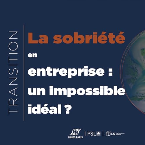 La sobri&eacute;t&eacute; en entreprise : un impossible id&eacute;al ?