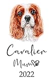 cavalier king charles spaniel pedigree  Cavalier Mum 2022: Monthly Weekly Daily Planner  Cute Cavalier King Charles Spaniel Dogs Planner  Dated Week Day Month Calendar 2022 With UK ... & Sports  140 Sites  6x9  Gift For Ide