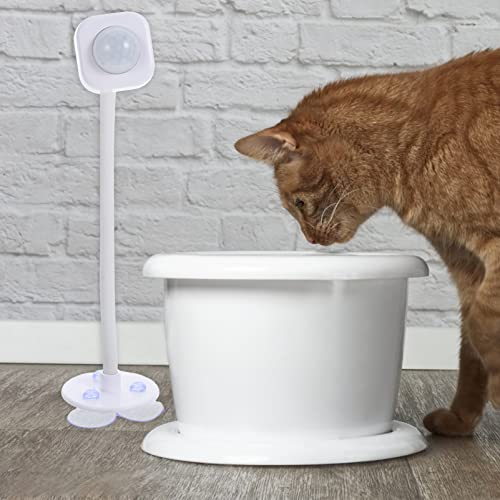 Dispensador de agua automático para gatos y perros miniatura 6