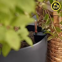 Lechuza-Gefäß mit Bewässerungssystem Classico Color 18 dunkelgrau – Ansicht 5