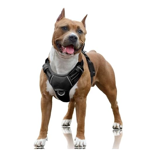 BARKBAY No Pull Dog Harness Large Step in Reflective Dog Harness with Front Clip and Easy Control Handle for Walking Training Running with ID tag Pocket(Black,L)