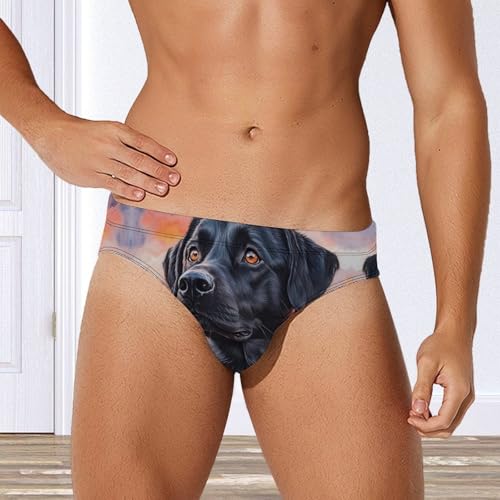 Black German Shepherd Dog Sunset Mens Swim Briefs Quick Dry Triangle Trunks Swimsuit Swimming Bikini Swimwear4