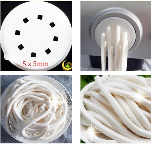PASTADISC Udon Noodles Shape Disc Fit For Philips Automatic Pasta & Noodle Maker, Disc Compatible With Philips Pasta Maker Attachment Kitchen Appliance Maker Accessory (Udon Noodles4x3mm) (D14, 5x5mm)