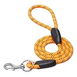 AmazonBasics Heavy Duty Reflective Dog Leash – 4ft /122 cm Long Nylon Rope Leash with Anti-Slip Padded Handle for Medium & Large Dogs – Durable Training Leash |12 mm Thickness | Pink