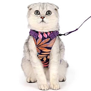 Cat Harness with Leash Set for WalkingAdjustable Escape Proof Pet Vest Harness for Cats Small Dogs Kitty Puppy Breathable Soft Mesh Cat Jacket with Reflective Straps for Outdoor Activities