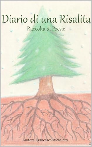 Diario di una risalita: Raccolta di poesie