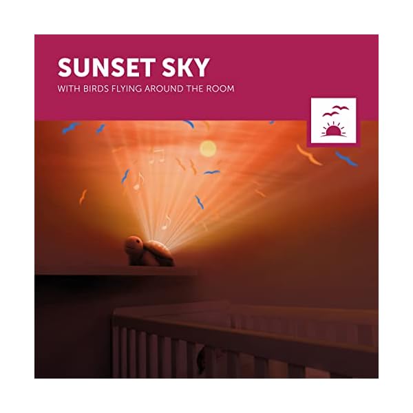 ZAZU Tim la tortue Projecteur - Lampe de lit portable pour bébé | Projecteur de ciel coucher de soleil | 3 mélodies apaisantes | Luminosité douce | Capteur de pleurs | Arrêt automatique 41dbdEtOFYL. SS600